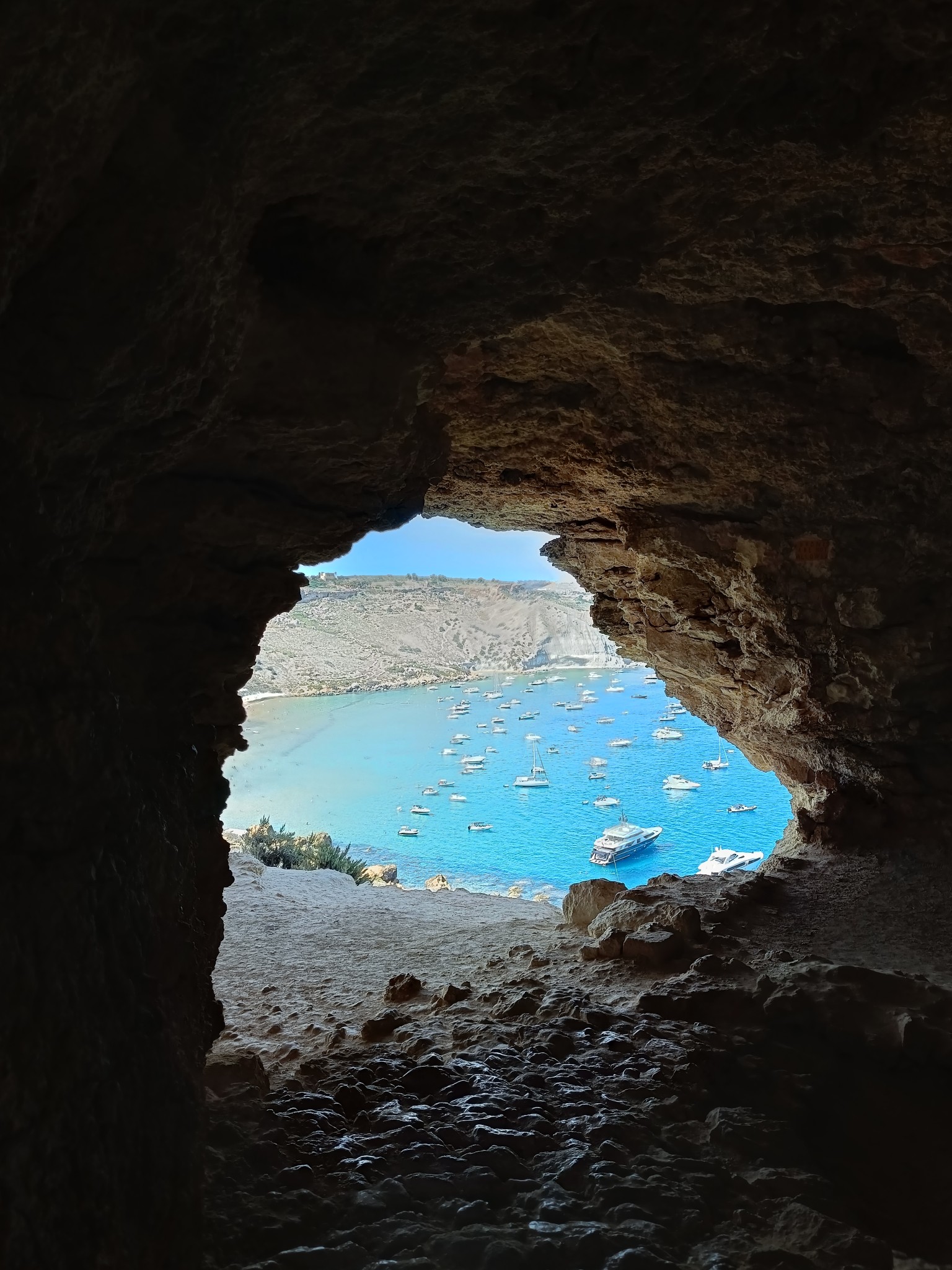 547978703 1669841990800036 8265161453226471203 n