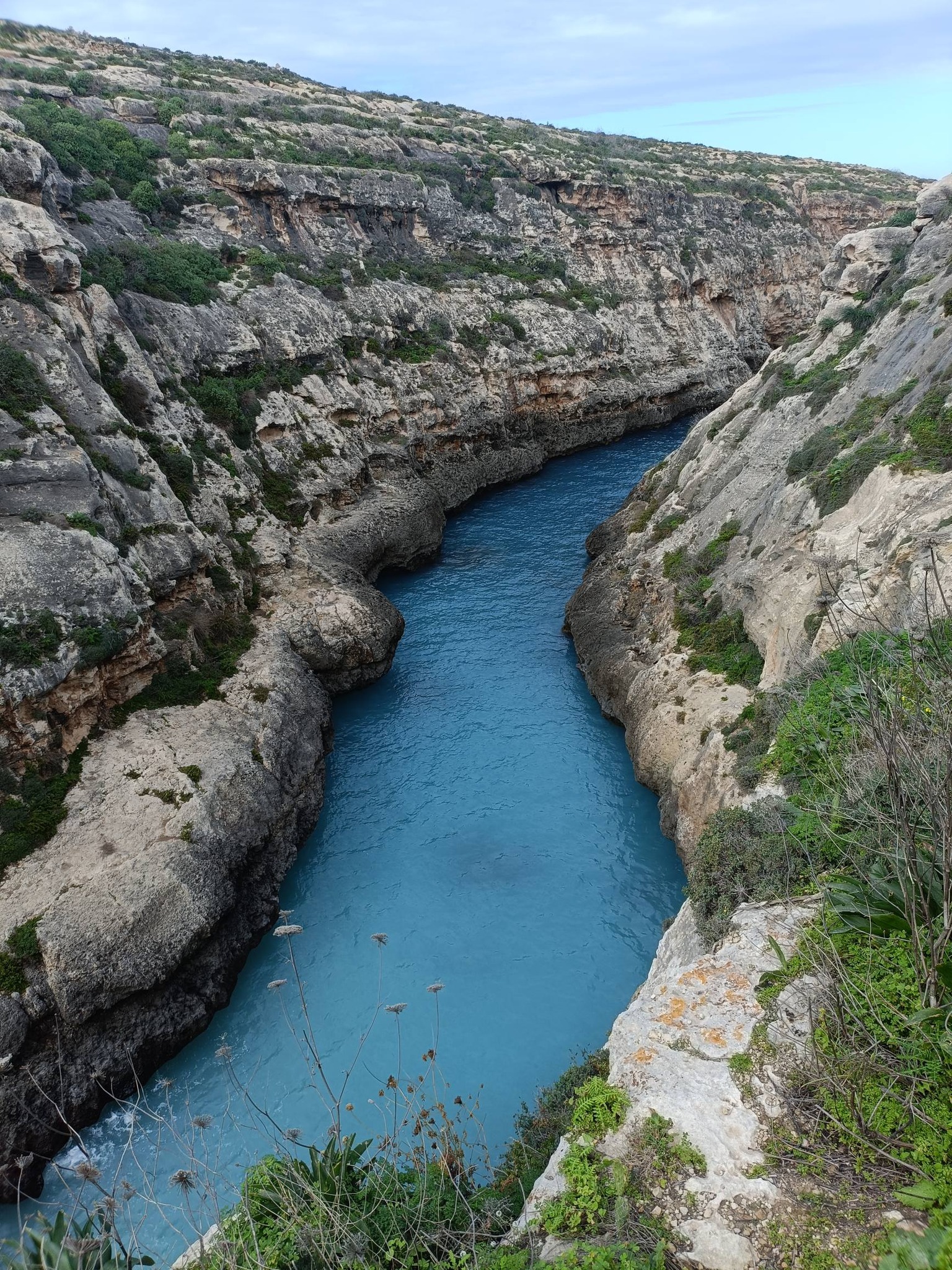 625337491 1794557968328437 667116909012845045 n